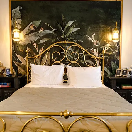 Novi's Luxury 2